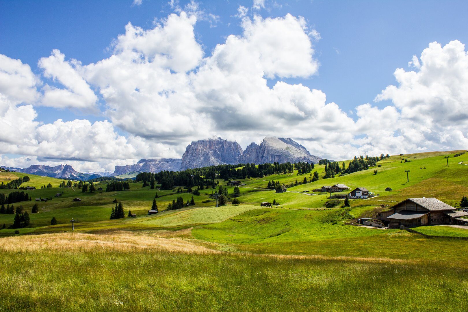 Bosco di San Giacomo
