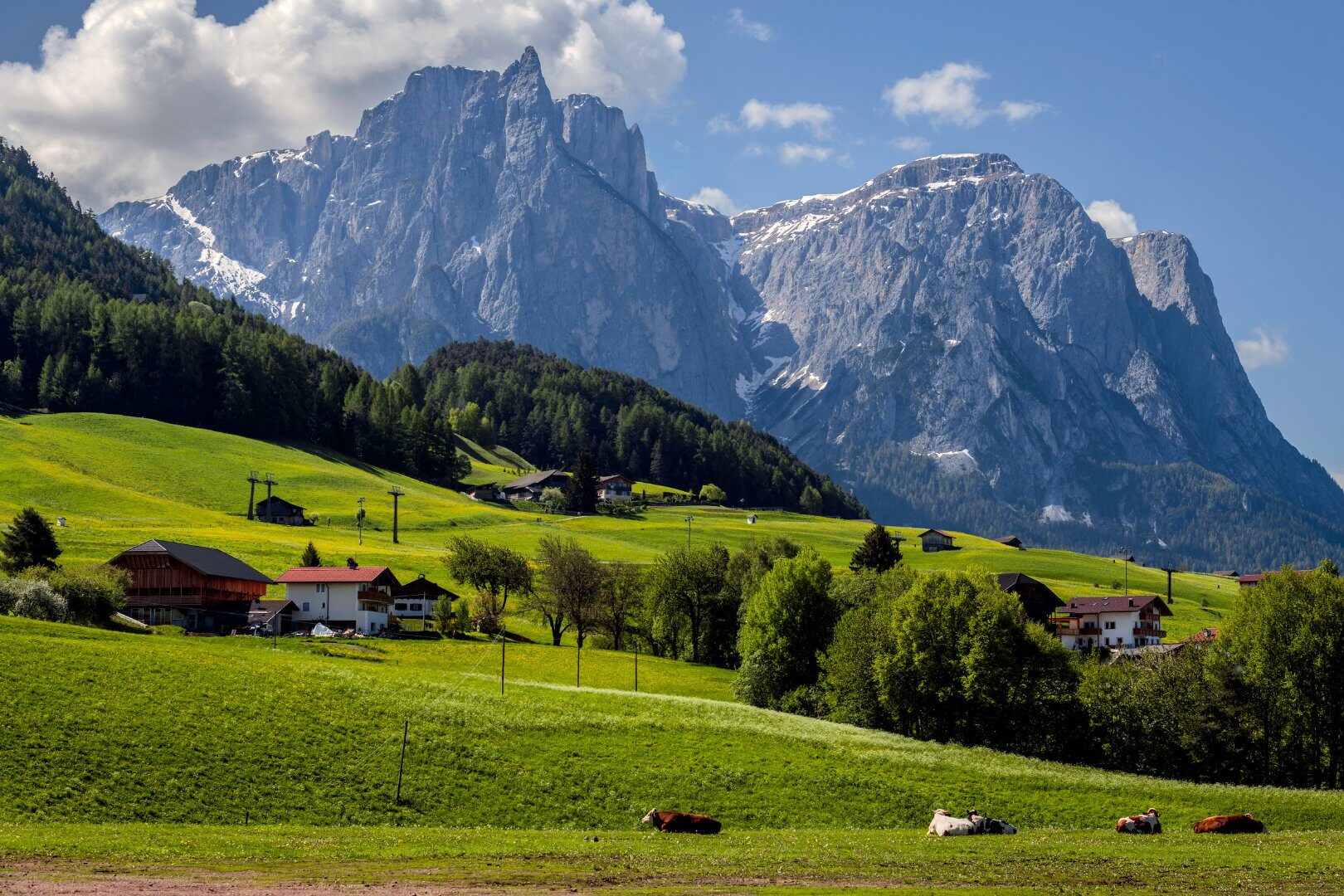 Santa Cristina Val Gardena in summer — green meadows at the foot of the Sassolungo massif at 1,428 m