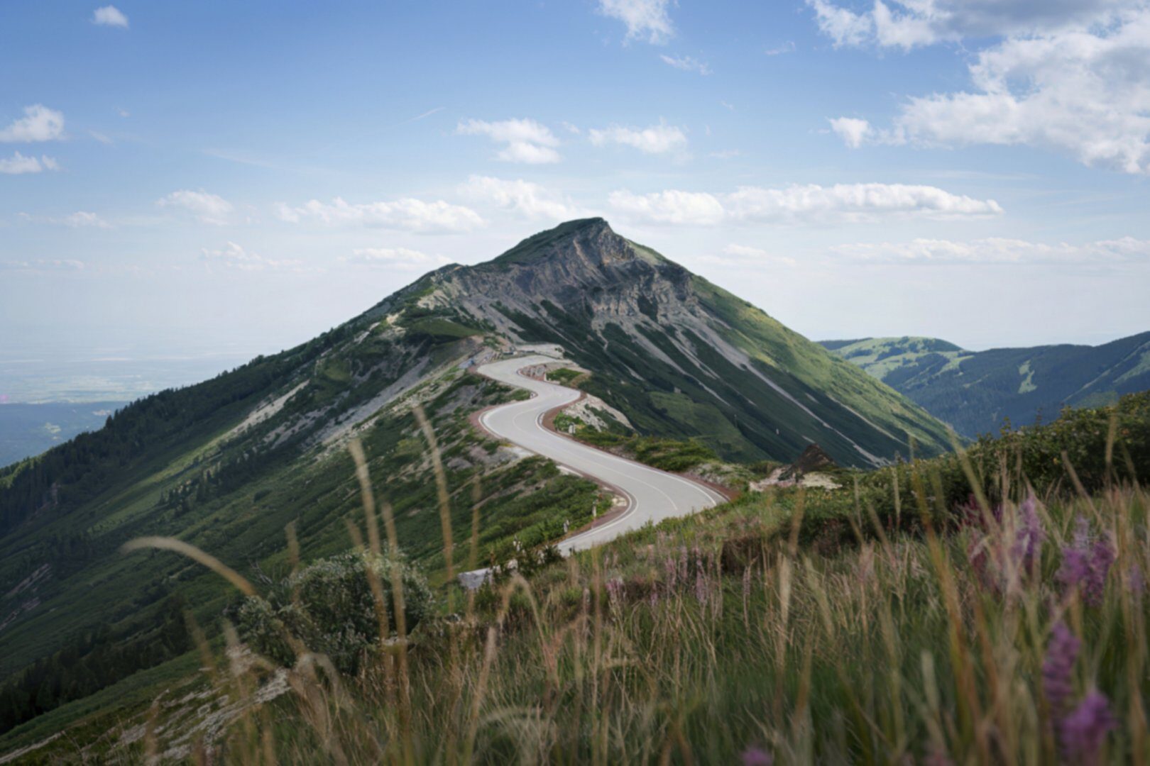 Passo Erbe curve boschi