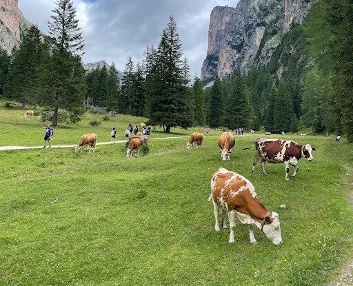 Vallunga Langental Selva